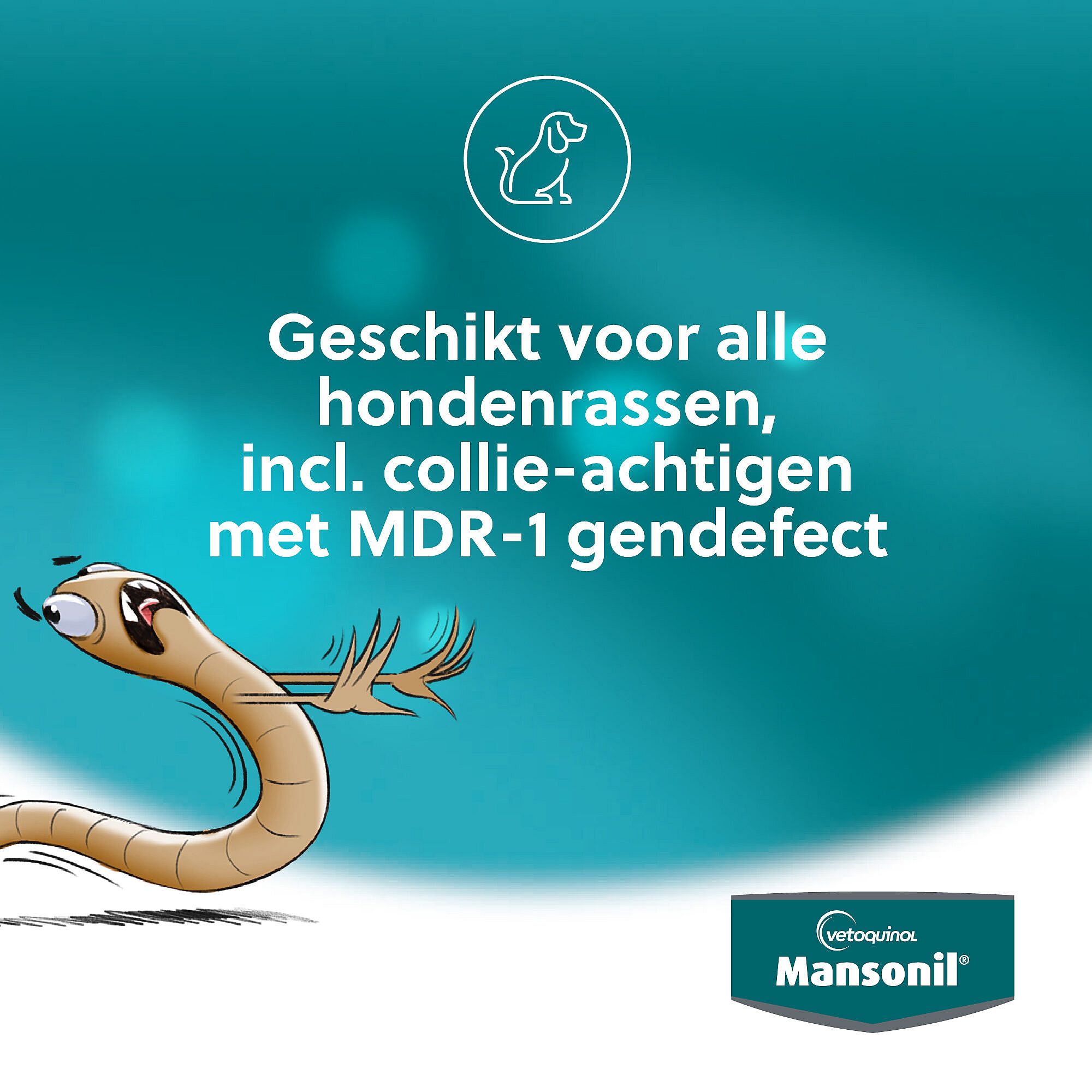 Mansonil All Worm Grote Hond 2 Ontwormingstabletten
