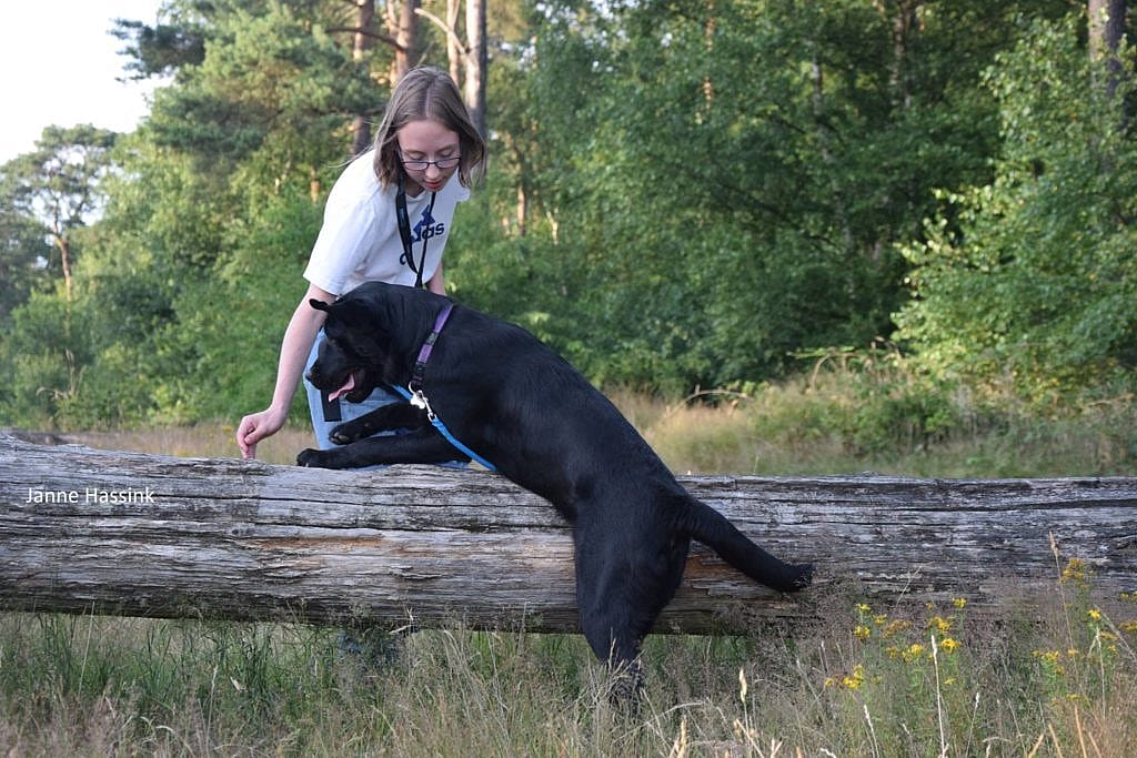 14a05b55fe03c5a41d59d4349a259c6d