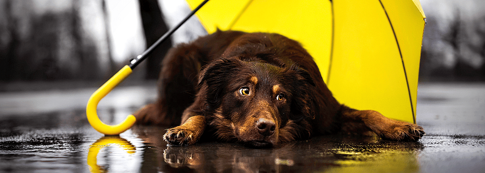 0a402aaae5d25ba2b2ce09f95ae271e8