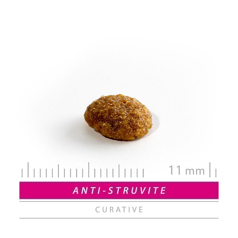 Sanimed Anti Struvite Kat Dieetvoer: Oplossen Struvietstenen - Blaasontsteking - Gezonde Urinewegen