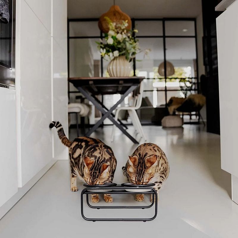 District 70  BUTLER Voerbakstandaard Kat Zwart