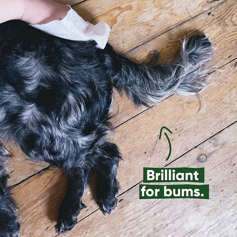 Beco BAMBOO Dog Wipes Travel 20 pack Hond Unscented