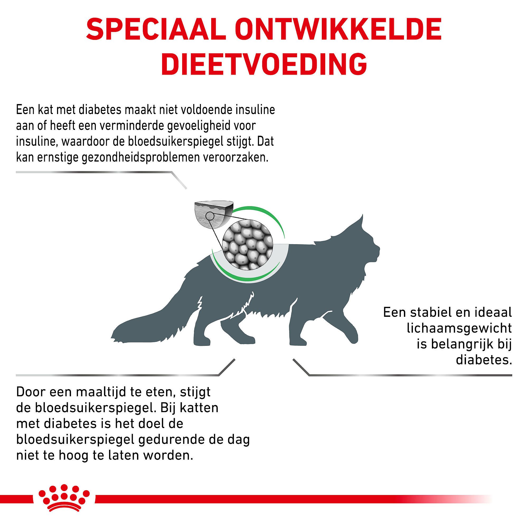 Royal Canin Diabetic Kat