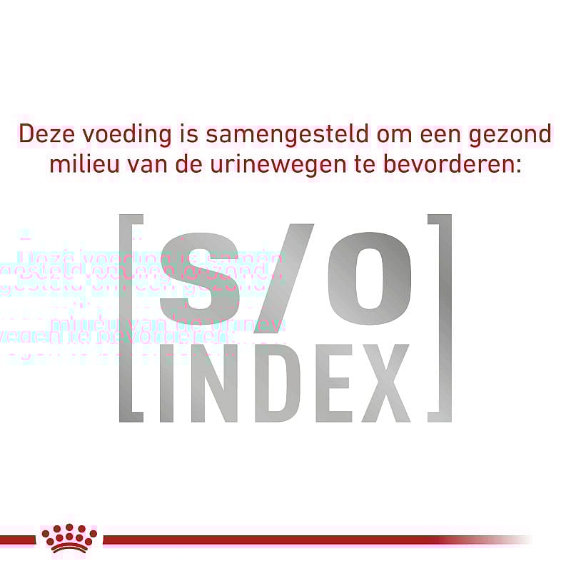 Royal Canin Gastrointestinal Moderate Calorie Kat 12 x 85 gram maaltijdzakjes