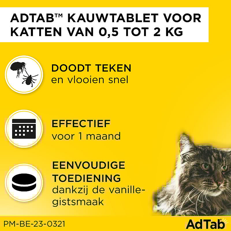 AdTab Kat