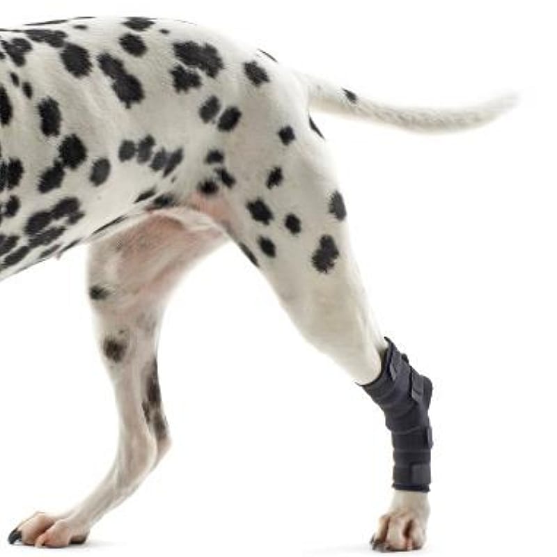 Kruuse Rehab Hock (Tarsus) Protector