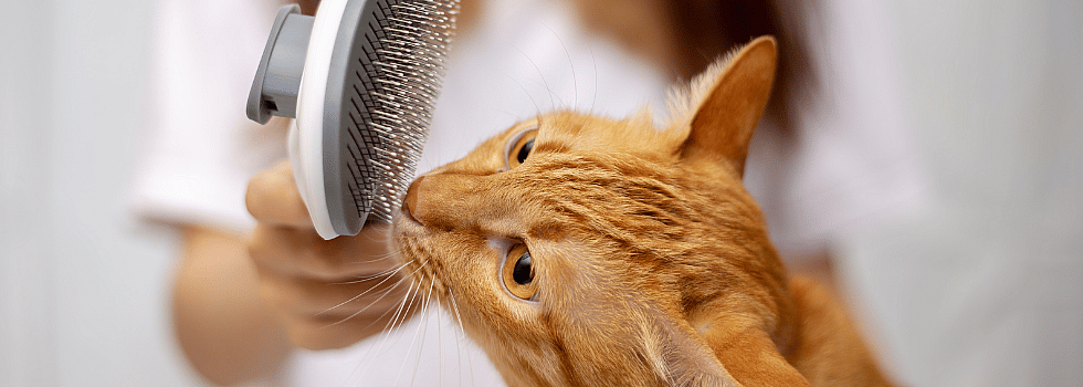 dbbf897bea043dd616eceef1899d3a5c