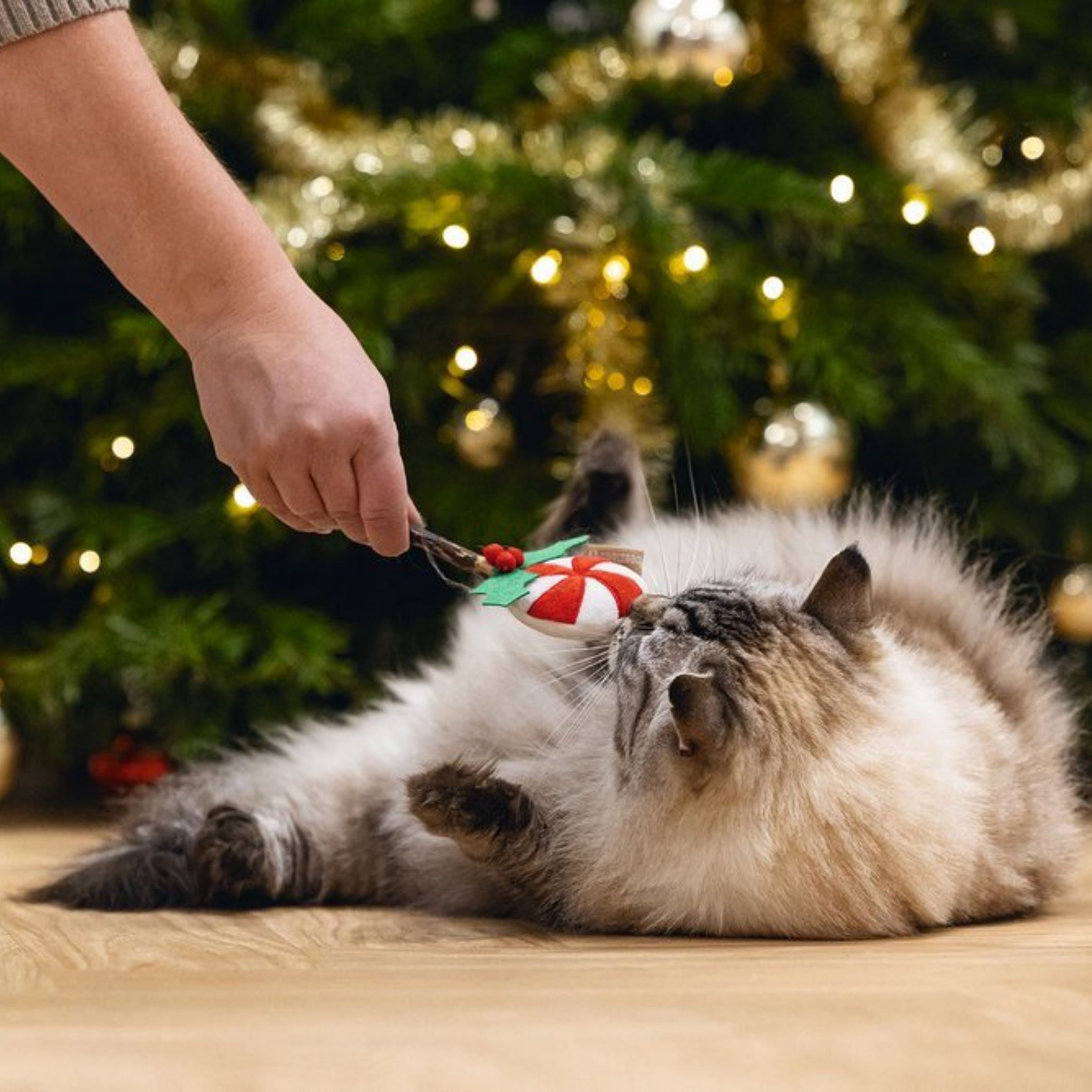 Beeztees Plush Matatabi Kerst Lolly Kat