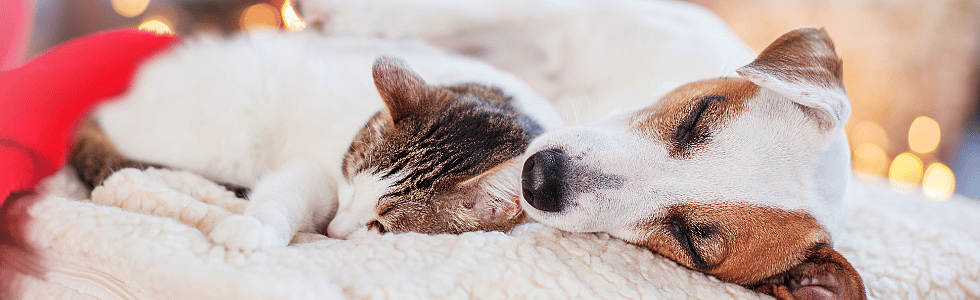 4b147a27b76f8d06e54ffe9e37f97fe3