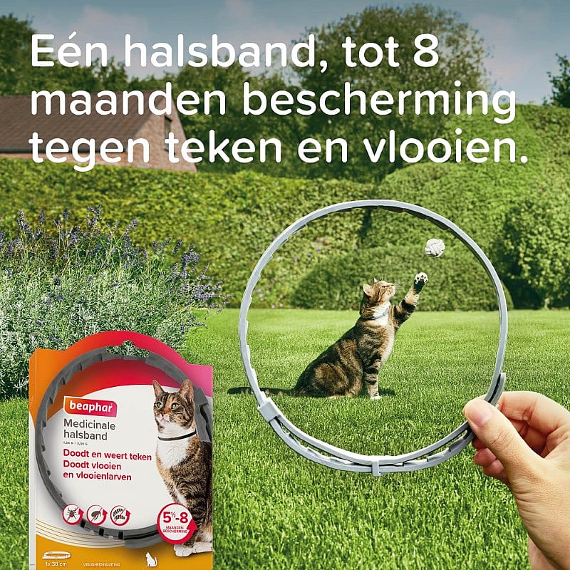 halsband, kat, medicinale halsband, beschermer tegen teken, dierverzorging