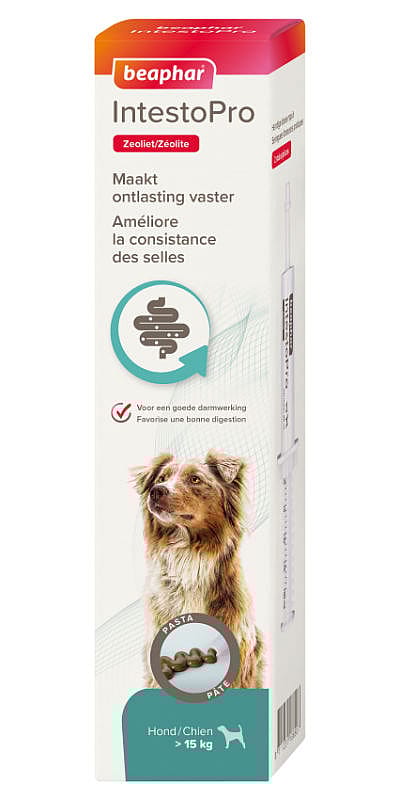 Beaphar IntestoPro Darm Pasta Hond vanaf 15 kg 2x 20 ml
