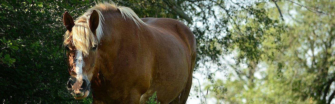 df979fc057051053b9df74bc8232a6cb