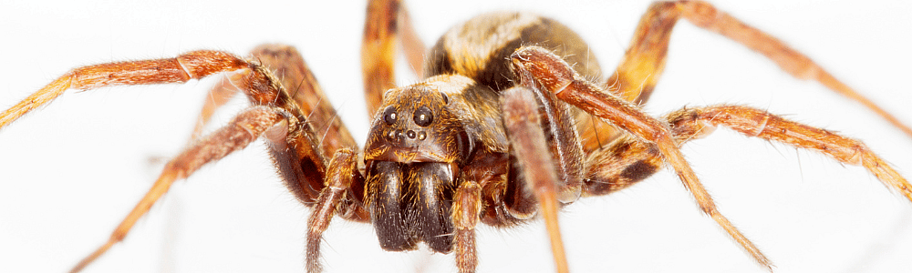 20596fc7586c9336aceea0dff435cb9e