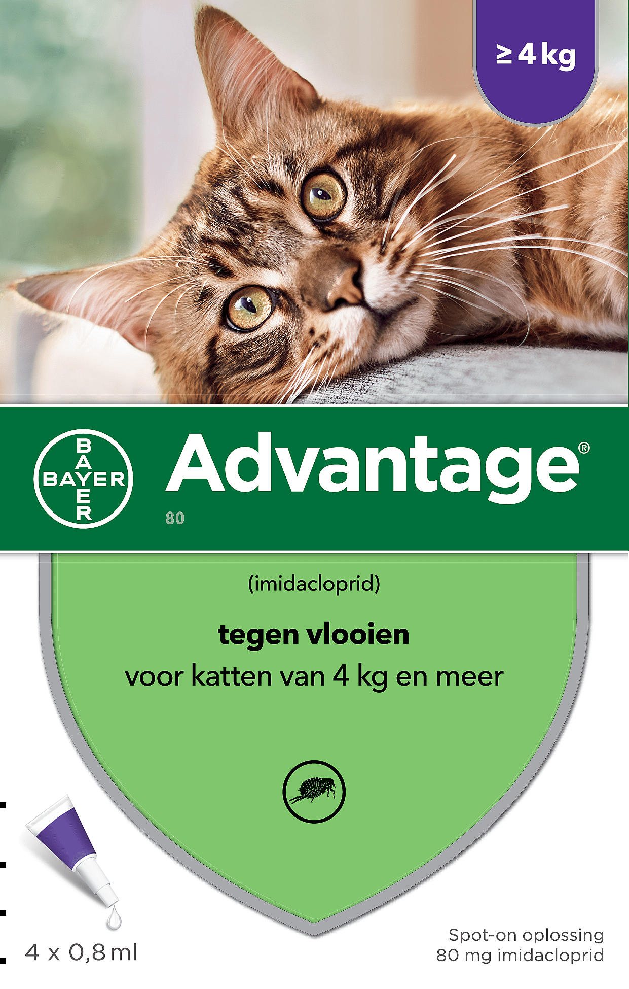 Advantage Spot-on Kat 80 mg