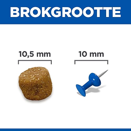 kruimel, strooimis, tandkorst, beet, metalen, kraal, nagel?