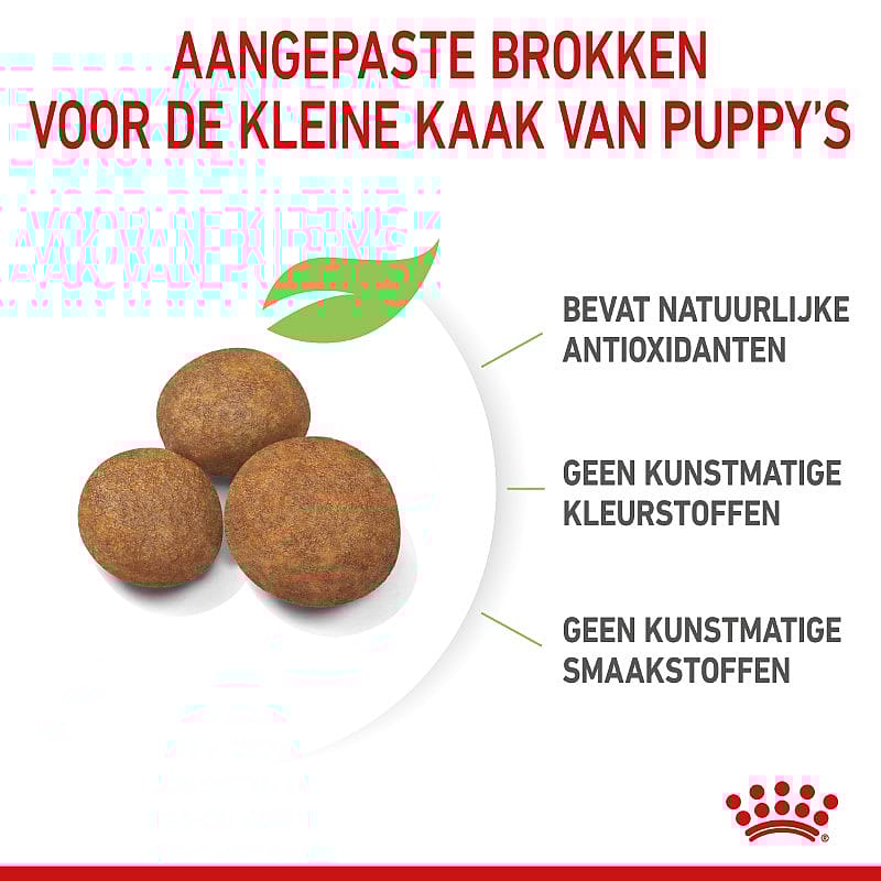 Royal Canin Puppy Maxi 15 kg