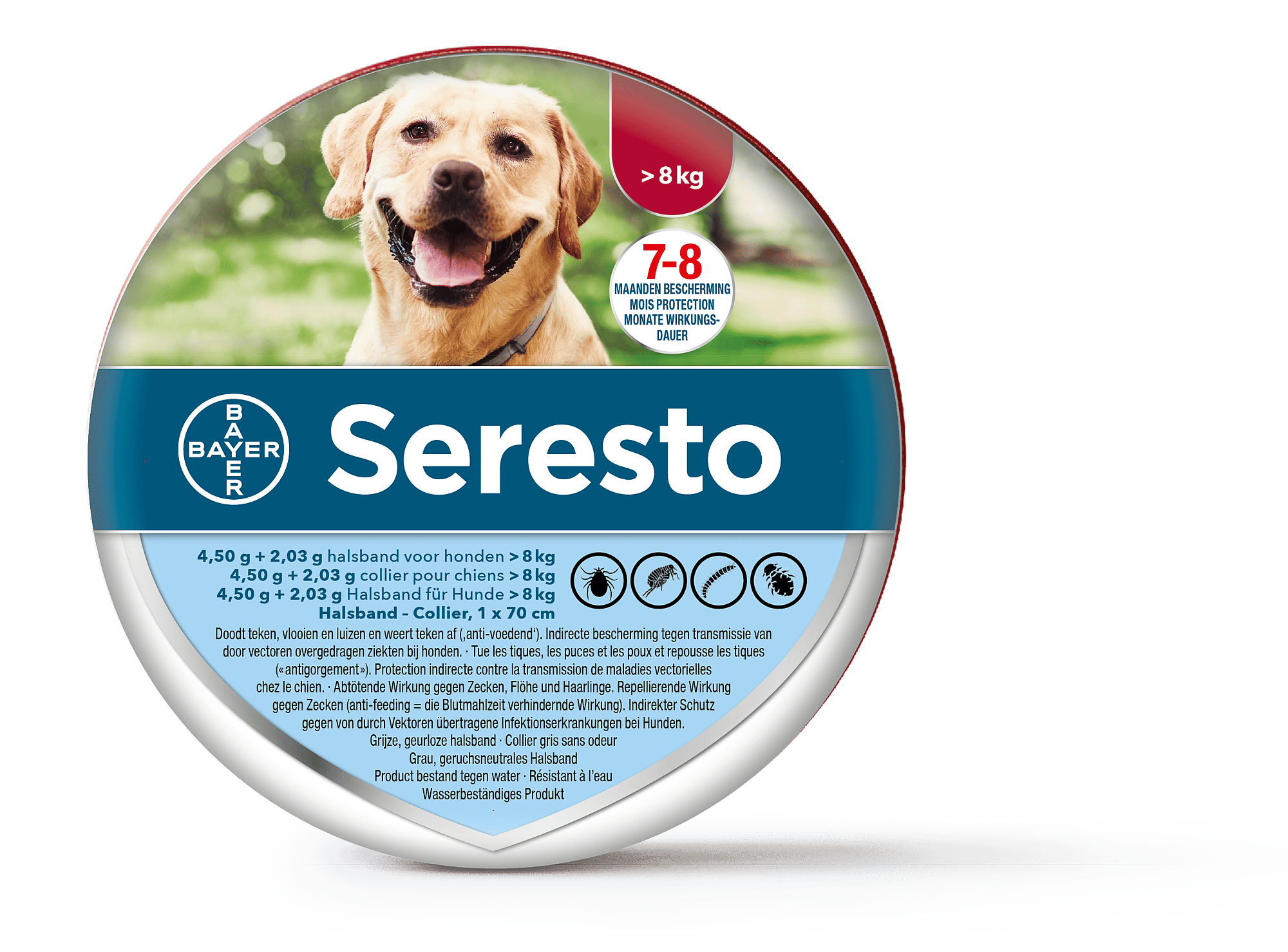Seresto Halsband Hond: Vlooien en Teken Bescherming - 7 tot 8 maanden - Geurloos & Waterbestendig zwaarder dan 8 kg - 1 x 70 cm (1-pack)