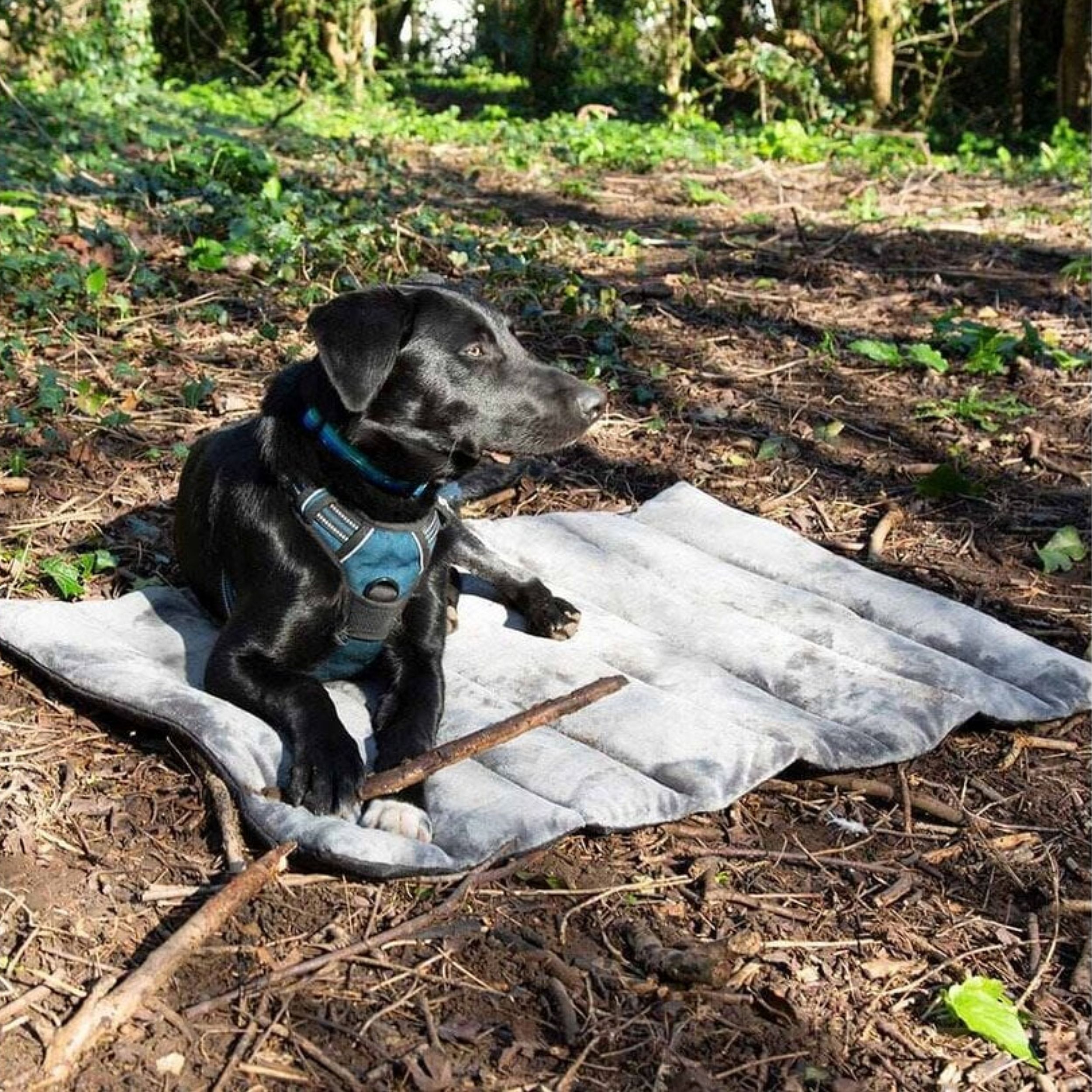 Scruffs Expedition Roll Up Travel Pet Bed Khaki Green