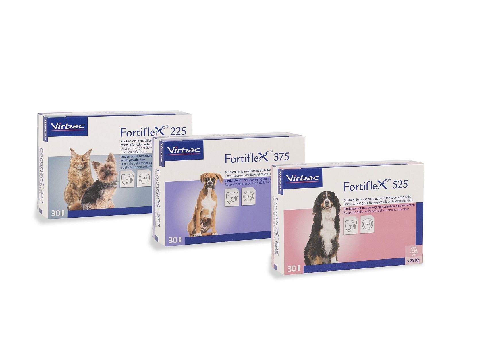 Fortiflex tabletten