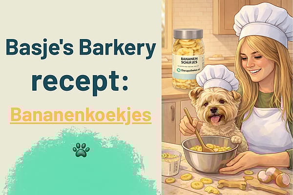 Basjes_Barkery_Bananenkoekjes_Recept_Blog_Preview_Image_600x400px