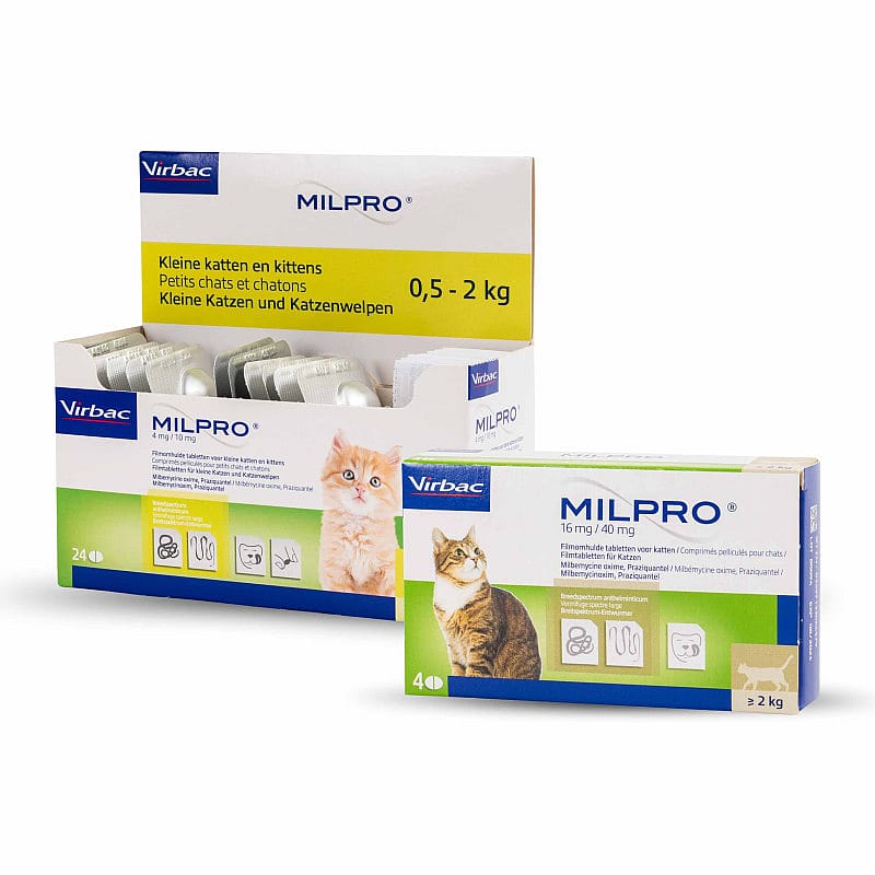 Milpro Ontwormingstabletten Kat Grote Kat - 4 tabletten