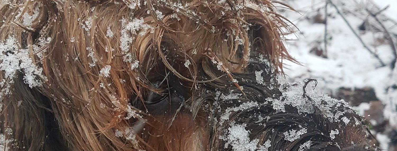 81cbd16ecc1de1450029037006b3d20b