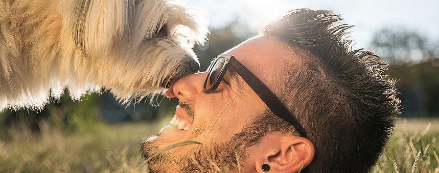 73a4208be40fe71a9f718bd9994603a2