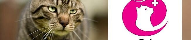 60be462564f9f9d6c2bc670041bcadc9