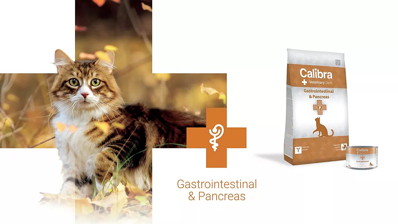 Calibra Cat Veterinary Diets Gastrointestinal & Pancreas