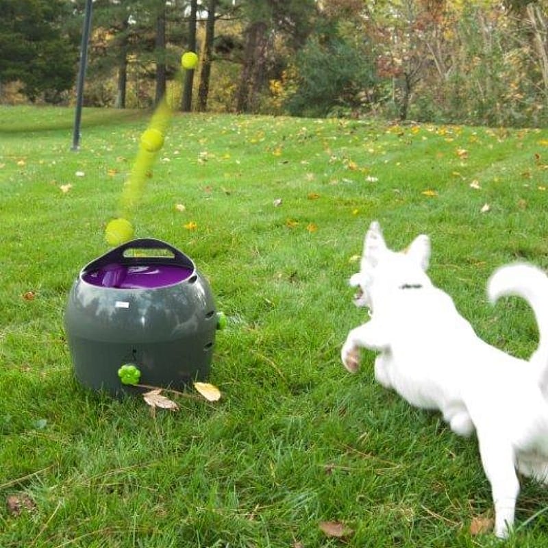 Petsafe Automatische Ballenwerper Hond