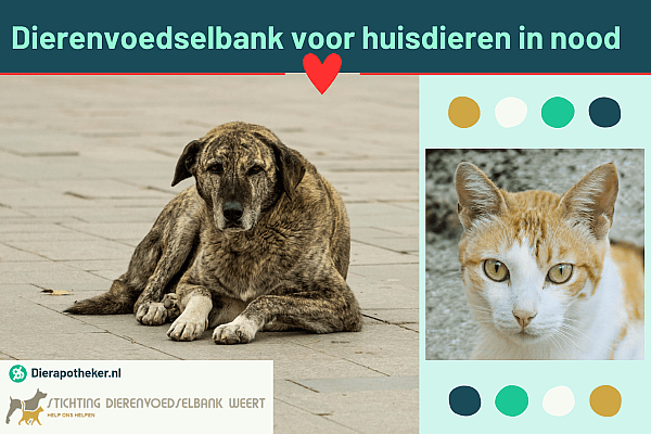 Preview_Image_600x400px_Dierenvoedselbank_Weert