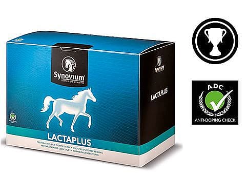 Synovium Lactaplus Spieren Paard 6 x 40 gram sachets
