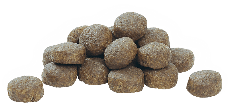 Purina Pro Plan Large Robust Puppy Healthy Start Hondenvoer 12 kg