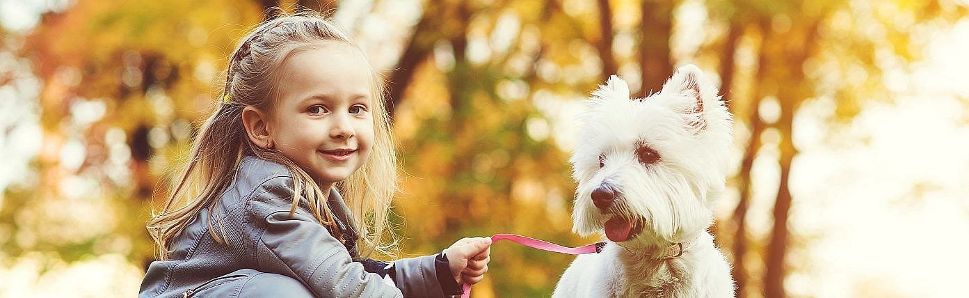 d2679abb2a1c0c010755becddb9f2222