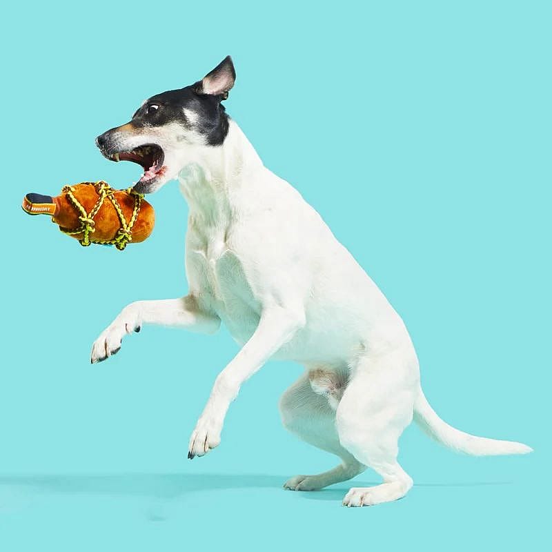 hond, speelgoed, knotsbal, touwbal, dierenspeelgoed