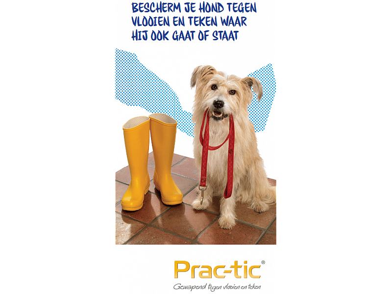Prac-tic Hond Hond 4.5 tot 11 kg - 3 pipetten