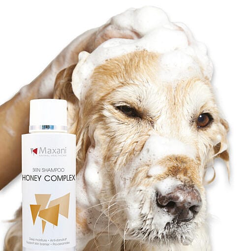 Maxani Honing Honey Complex Shampoo 200 ml