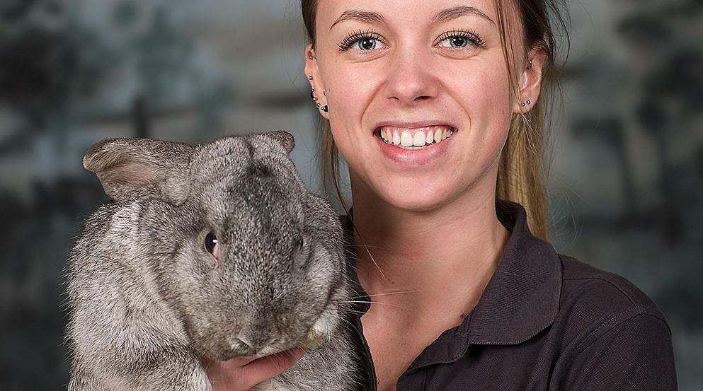 79190087037e8e6bccf7ae7e540c5ac4