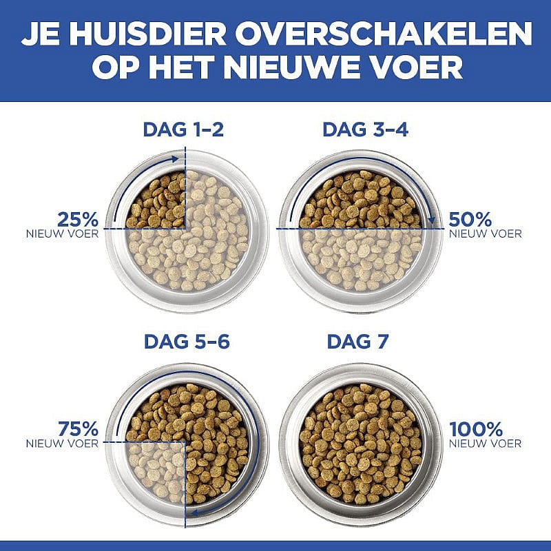 kattenvoer, voerbak, bonen, korrels, voerverrijking