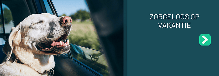 732b1ff436a6704636a3a45338cf2c9c