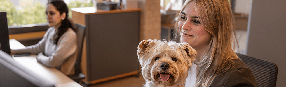 f7e82cb811e0fe1c5f1a57eee13e508c