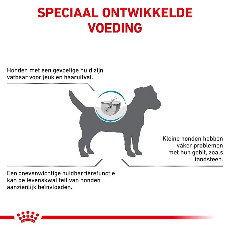 Royal Canin Skin Care Small Dog
