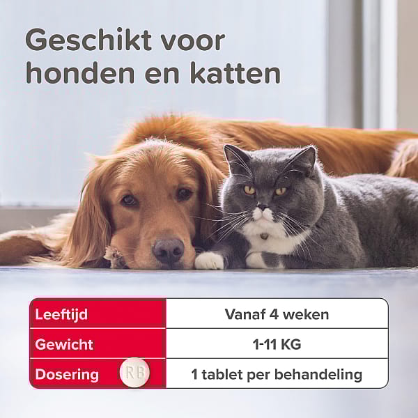 Beaphar Vlo Kill Hond en Kat tot 11 kg - 6 tabletten