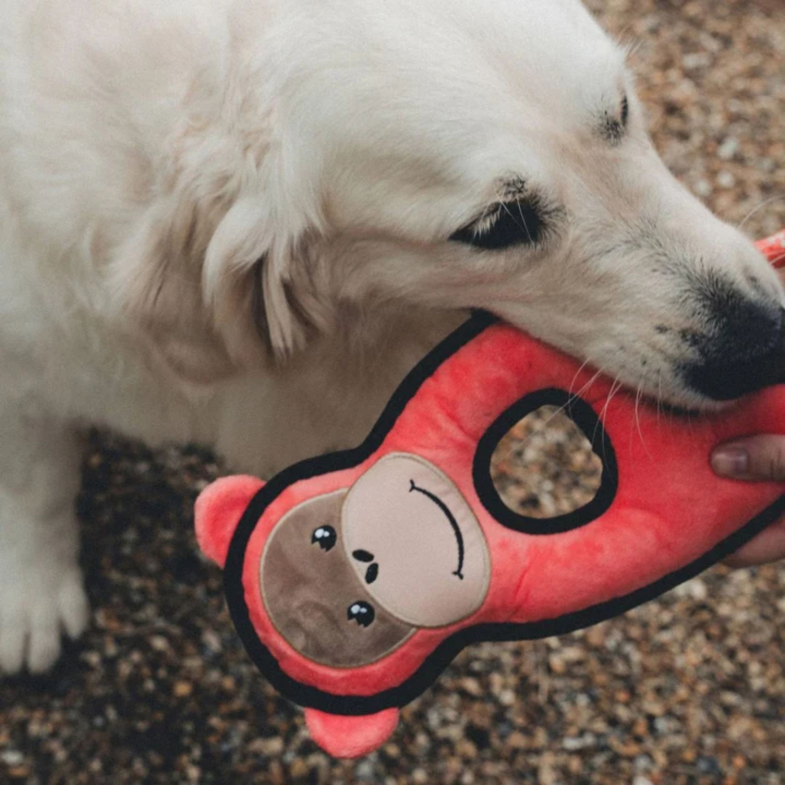 hondenspeeltje, speelgoedbotje, knuffelgear, rood met beergezicht, vachtgeluid?