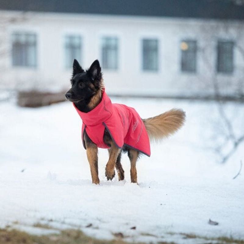 Rukka Windy Thermal Jacket Softshell Jas Hond Rood Maat 40