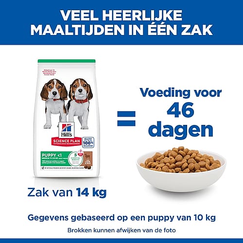 hondenvoer, puppy, zak 14 kg, brokjes, wetenschappelijk plan