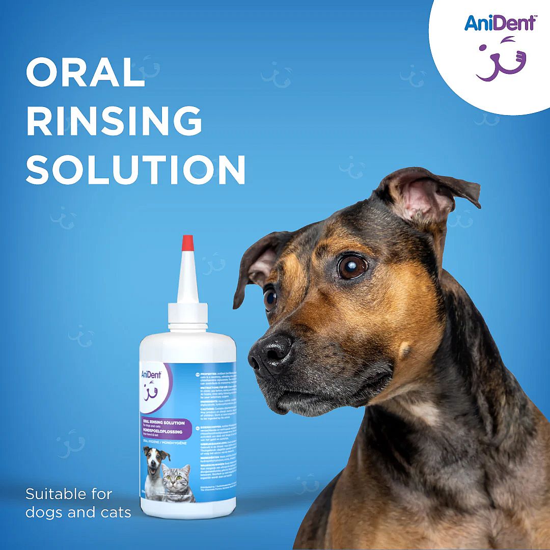 AniDent Mondspoeloplossing Hond Kat 237 ml