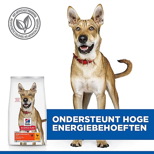 Hill's Science Plan Performance Adult Hondenvoer Kip 14 kg