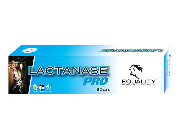 Equality Lactanase Paste 50 gram