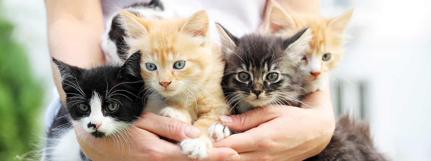 49d8464f56b4e9e2985063c3caa44ed0